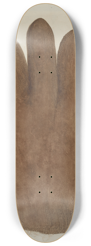 Helen E. Gilman - Shaker Glove 8.25 inch art skate deck