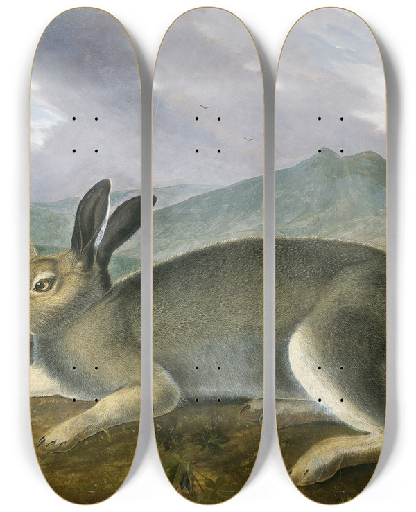Triptych art skateboard deck of John James Audubon Arctic Hare by John James Audubon (1785-1851)