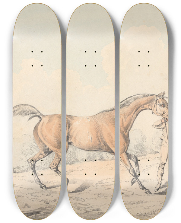 Triptych art skateboard deck of Henry Thomas Alken A Groom Leading A Bay Horse by Henry Thomas Alken (1785-1851)