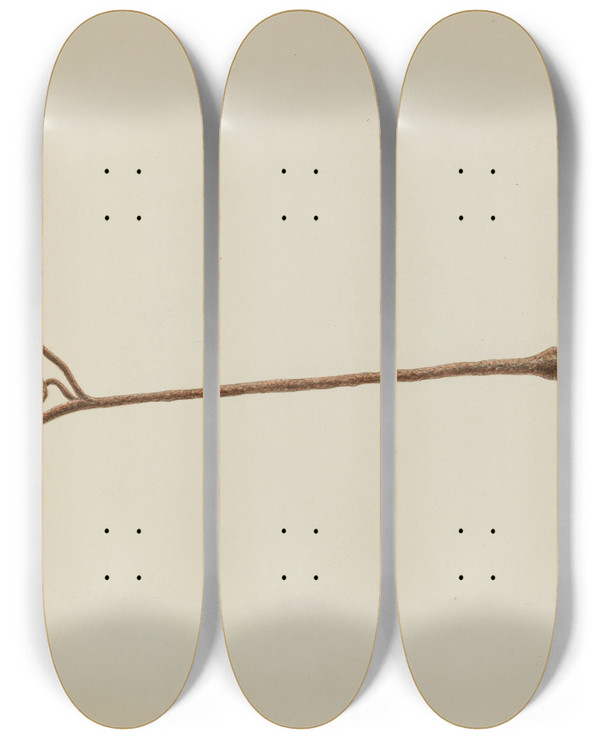 Triptych art skateboard deck of Cornelius Christoffels Branding Iron by Cornelius Christoffels (1879-1960)