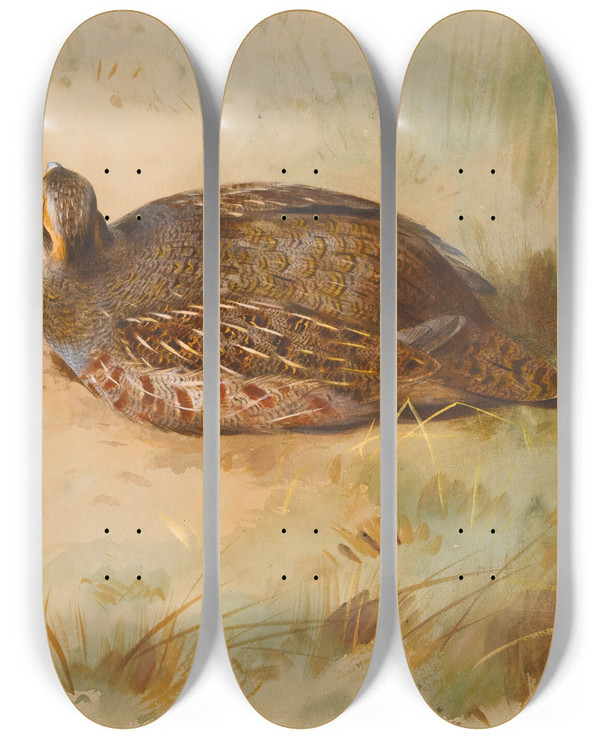 Triptych art skateboard deck of Archibald Thorburn Partridge by Archibald Thorburn (1860-1935)