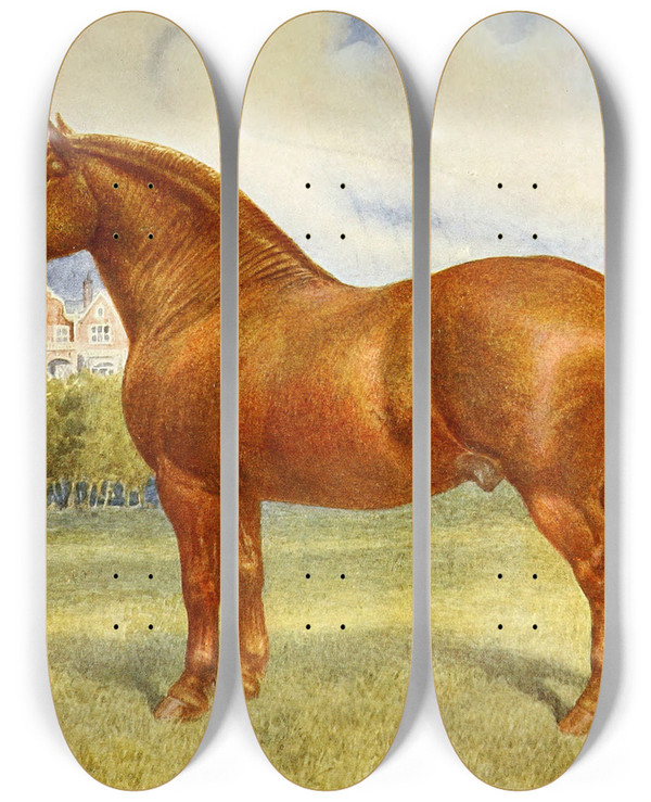 Triptych art skateboard deck of Frank Babbage Suffolk Sire Prince Wedgewood by Frank Babbage (1858-1916)