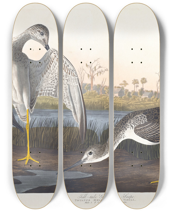 Triptych art skateboard deck of John James Audubon Telltale Godwit Or Snipe by John James Audubon (1785-1851)