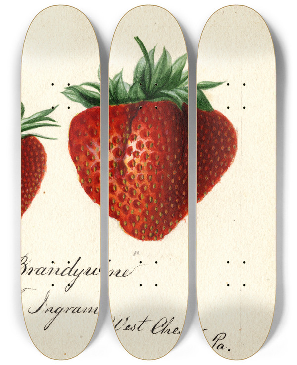 Triptych art skateboard deck of Deborah Griscom Passmore Fragaria Brandywine by Deborah Griscom Passmore (1840-1911)