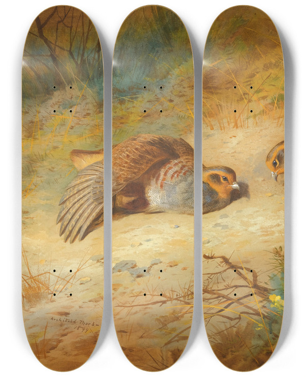 Triptych art skateboard deck of Archibald Thorburn Grey Partridge by Archibald Thorburn (1860-1935)