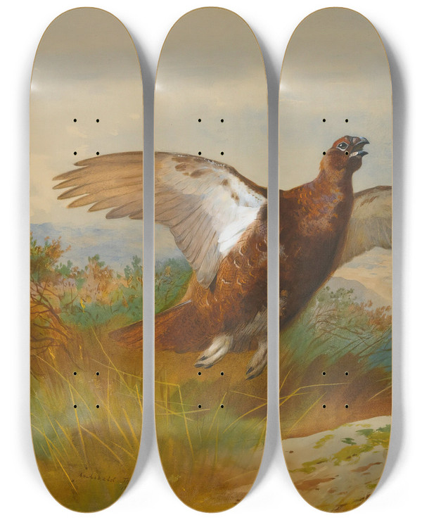 Triptych art skateboard deck of Archibald Thorburn Red Grouse In Flight by Archibald Thorburn (1860-1935)