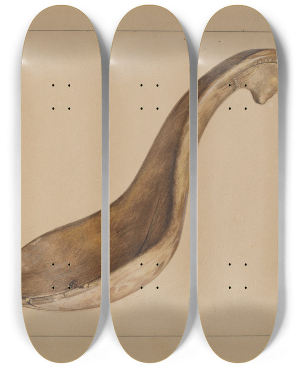 Triptych art skateboard deck of Angelo Bulone Ladle by Angelo Bulone