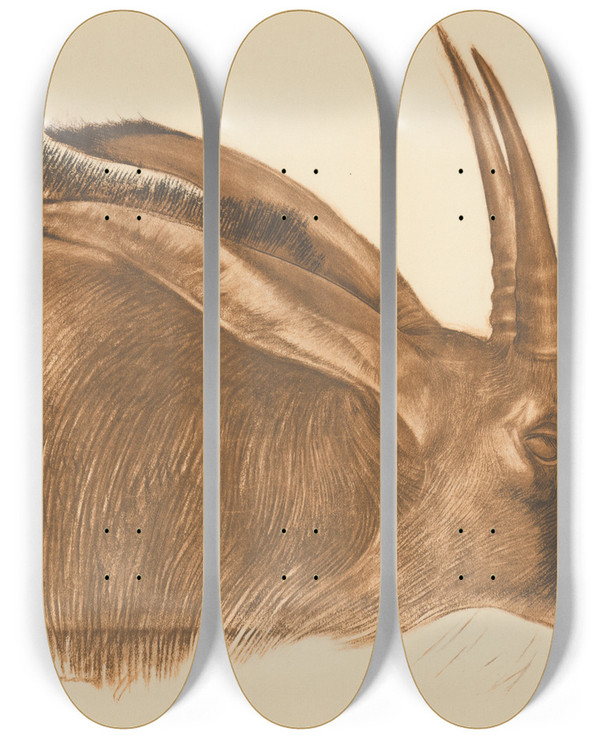 Triptych art skateboard deck of Alexandre Jacovleff Dessins Et Peintures Dafrique Pl 22 by Alexandre Jacovleff (1887-1938)
