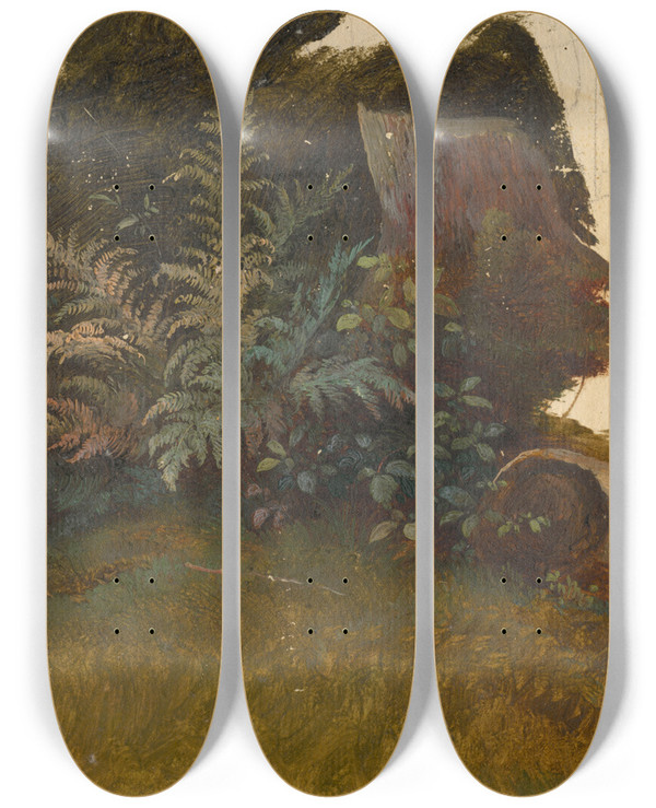 Triptych art skateboard deck of Friedrich Carl Von Scheidlin Mountain Vegetation by Friedrich Carl Von Scheidlin (1822-1913)
