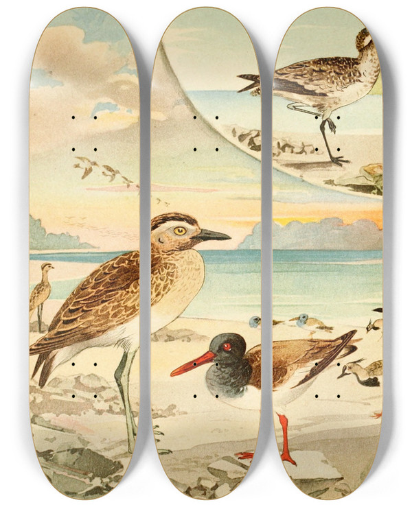 Triptych art skateboard deck of Emil August Gldi Tutu Pirpir Massaricos by Emil August Goldi (1859-1917)