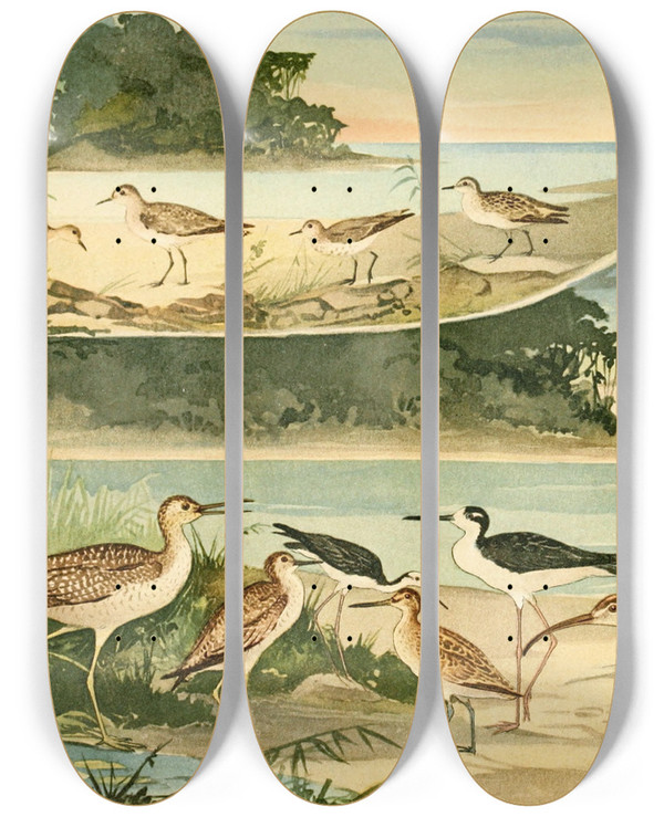 Triptych art skateboard deck of Emil August Gldi Massaricos E Massarices by Emil August Goldi (1859-1917)