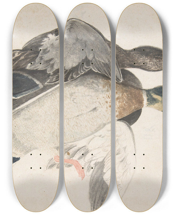 Triptych art skateboard deck of Count Giorgio Durante Two Dead Ducks_1 by Count Giorgio Durante (1685-1755)