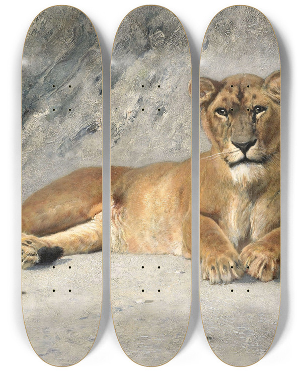 Triptych art skateboard deck of Jan Van Essen Lioness Resting by Jan Van Essen (1854-1936)