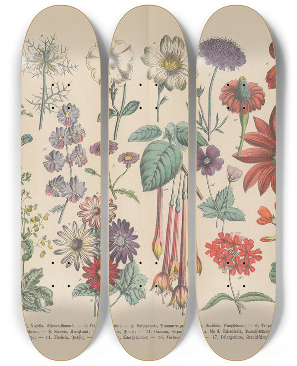 Triptych art skateboard deck of Carl Hoffmann Lehrbuch Der Praktischen Pflanzenkunde In Wort Und Bild Pl57 by Carl Hoffmann (1802-1883)