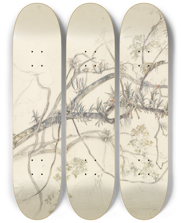 Triptych art skateboard deck of Ferdinand Keller Aststudie Mit Schlinggewchsen Am Ufer Des Parahyba by Ferdinand Keller (1842-1922)