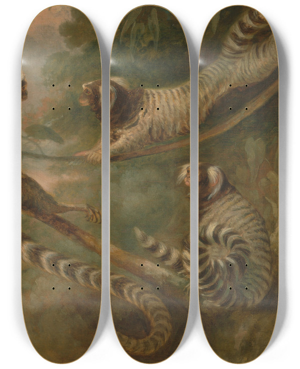 Triptych art skateboard deck of George Garrard A Marmoset In Three Attitudes by George Garrard (1760-1826)