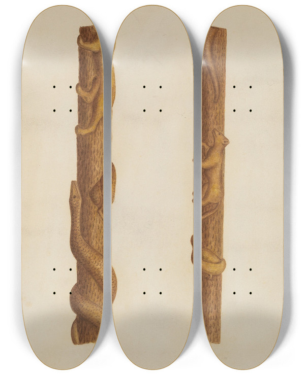 Triptych art skateboard deck of William Mcauley Walking Stick_2 by William Mcauley