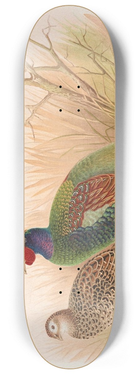Henry Jones - Green Japanese Pheasant 8.25 inch art skate deck
