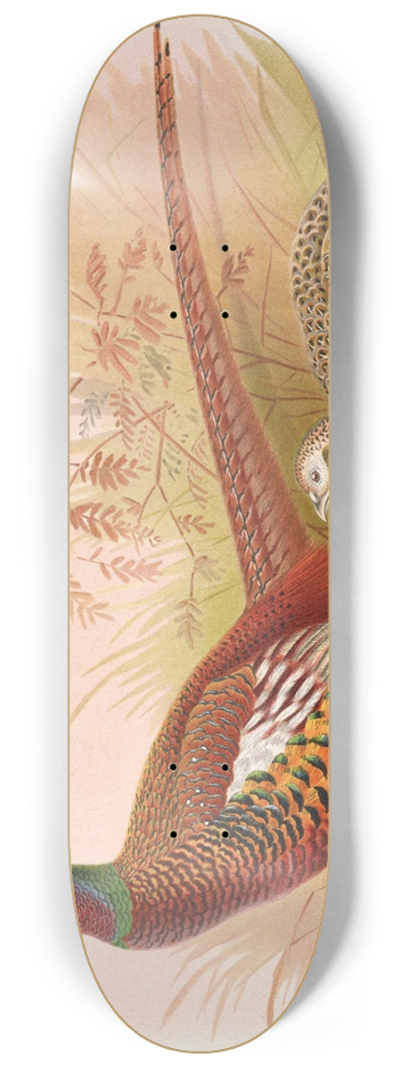Henry Jones - Prince Of Waless Pheasant 8.25 inch art skate deck