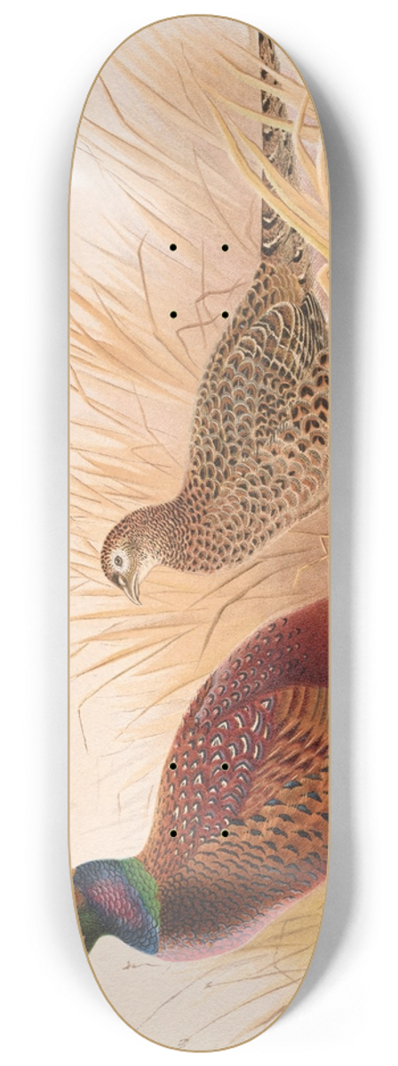 Henry Jones - Rion Caucasian Pheasant 8.25 inch art skate deck