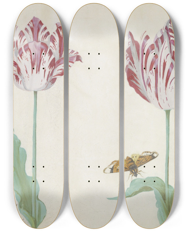Triptych art skateboard deck of Jacob Marrel Twee Tulpen Met Vlinder_5 by Jacob Marrel (1613-1681)