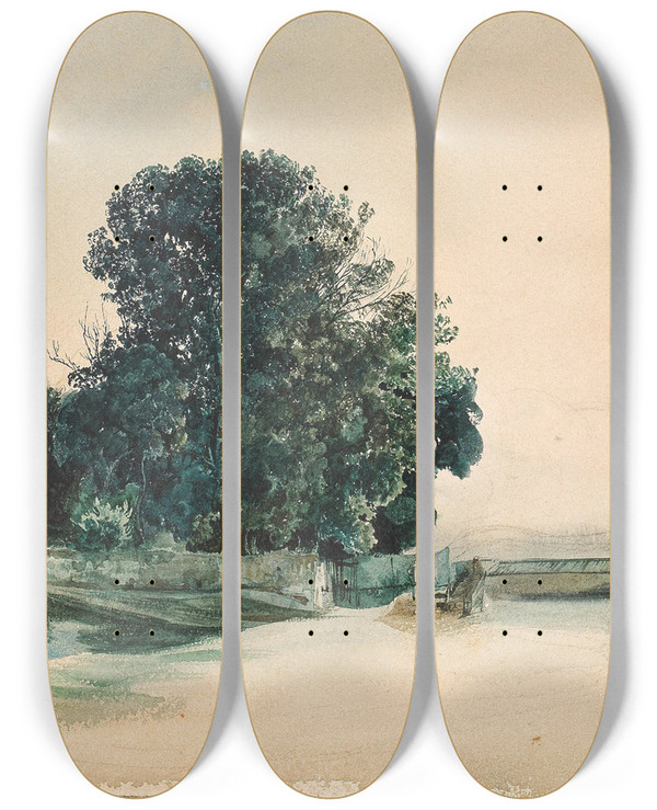 Triptych art skateboard deck of Rudolf Von Alt Study Of Tree by Rudolf Von Alt (1812-1905)