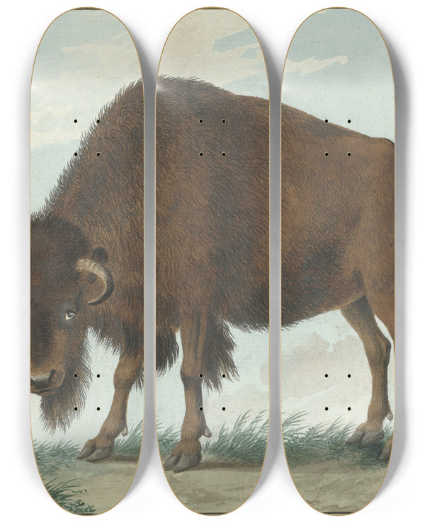 Triptych art skateboard deck of Isaac Van Haastert Bison by Isaac Van Haastert (1753-1834)