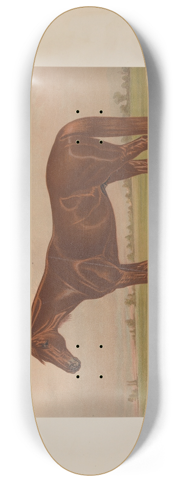 Henry Stull - Piedmont 8.25 inch art skate deck