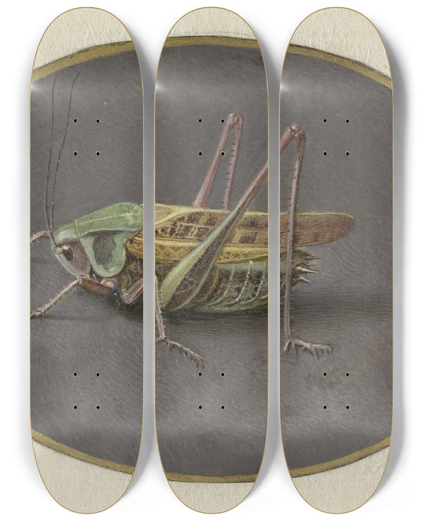 Triptych art skateboard deck of Jan Augustin Van Der Goes Sprinkhaan by Jan Augustin van der Goes (1690-1700)