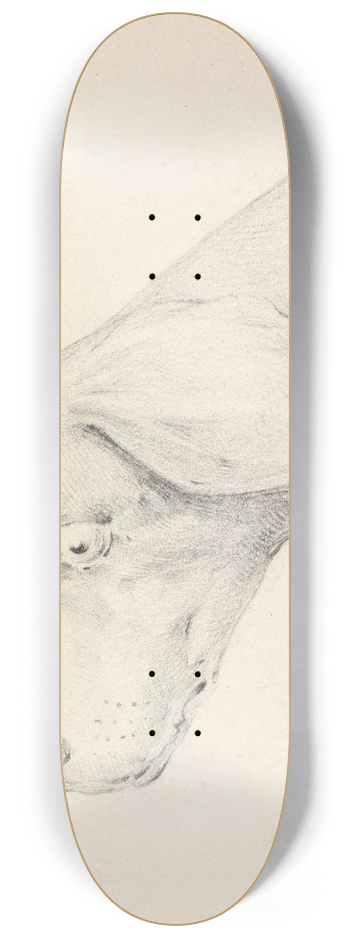 Henry Thomas Alken - Head of a Pointer, in Profile Left 8.25 inch art skate deck