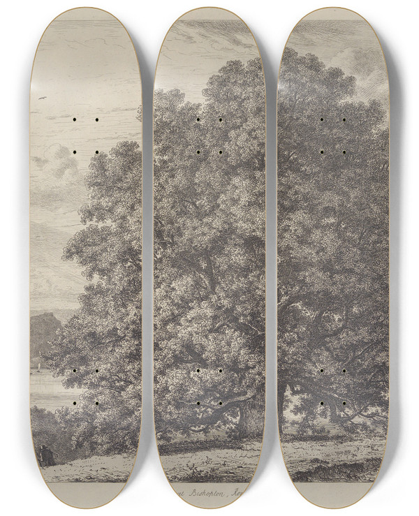 Triptych art skateboard deck of Jacob George Strutt The Sycamore At Bishopton by Jacob George Strutt (1784-1867)