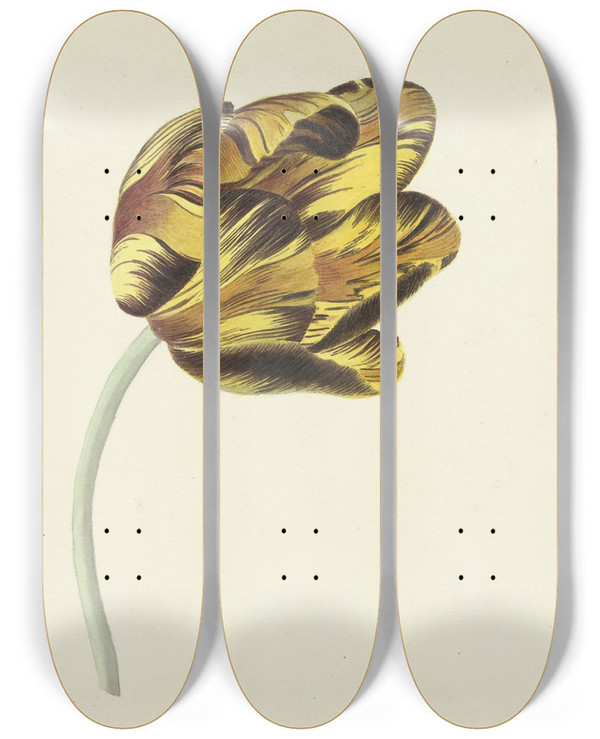 Triptych art skateboard deck of Cornelis Van Noorde Tulp Genaamd Bizard Phoenix by Cornelis Van Noorde (1731-1795)