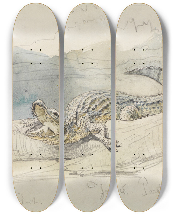 Triptych art skateboard deck of Ferdinand Keller Studie Eines Alligators by Ferdinand Keller (1842-1922)