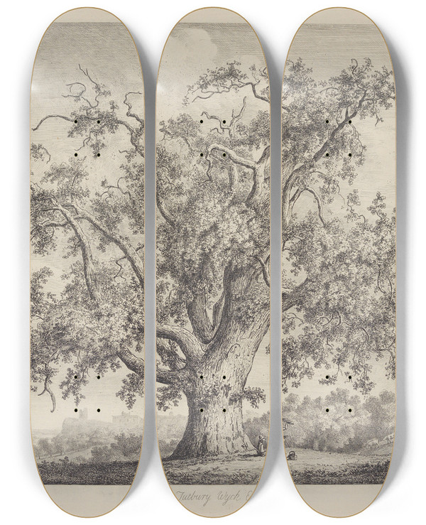 Triptych art skateboard deck of Jacob George Strutt The Tutbury Wychelm by Jacob George Strutt (1784-1867)