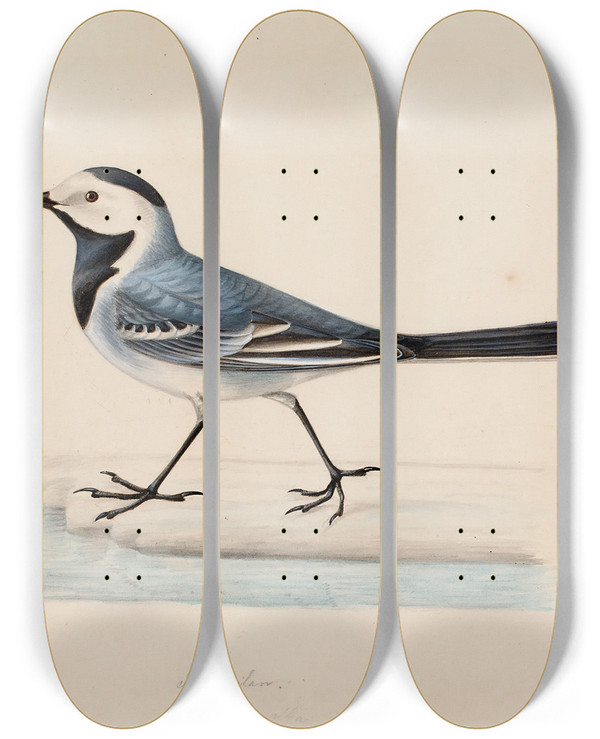 Triptych art skateboard deck of Ferdinand Von Wright White Wagtail by Ferdinand von Wright (1822-1906)