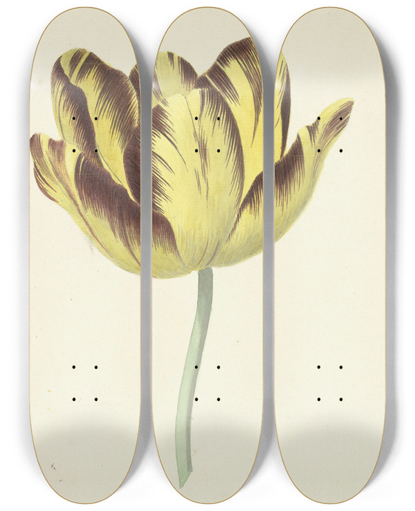 Triptych art skateboard deck of Cornelis Van Noorde Tulp Genaamd Bizard Le Febure No 1 by Cornelis Van Noorde (1731-1795)