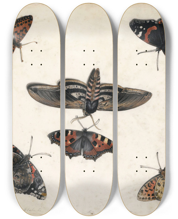 Triptych art skateboard deck of Jan Van Kessel The Elder Studies Of Five Butterflies And A Hawk Moth by Jan Van Kessel The Elder (1626-1679)