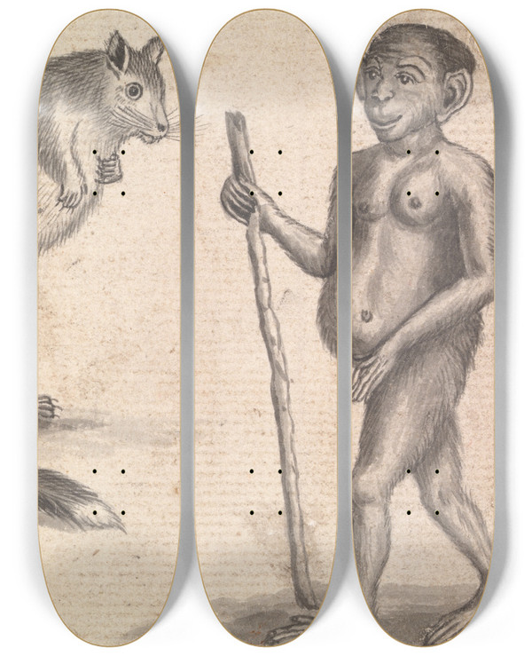 Triptych art skateboard deck of Richard Brookes Monkey_3 by Richard Brookes (1721-1763)