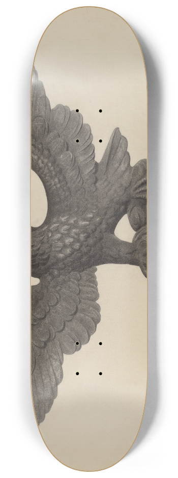 Herman Bader - Eagle 8.25 inch art skate deck