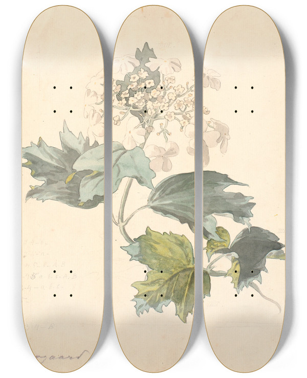 Triptych art skateboard deck of P C Skovgaard Kalkved Viburnum by P C Skovgaard (1817-1875)