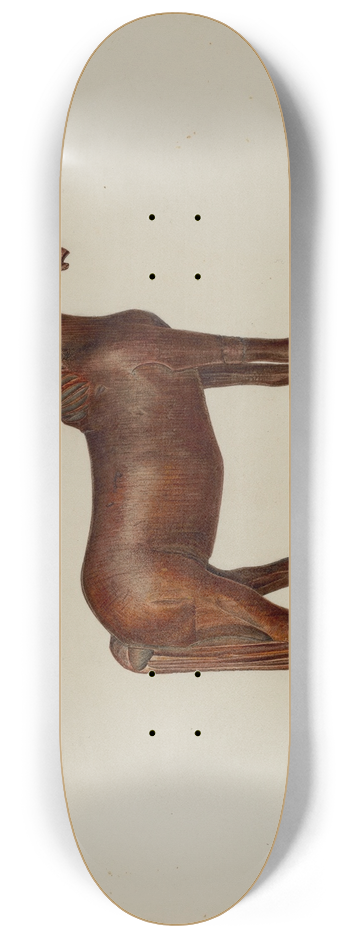 Hester Duany - Carved Toy Horse 8.25 inch art skate deck