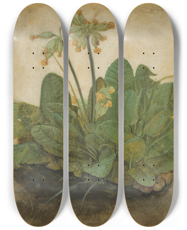 Triptych art skateboard deck of Albrecht Drer Tuft Of Cowslips by Albrecht Durer (1471-1528)