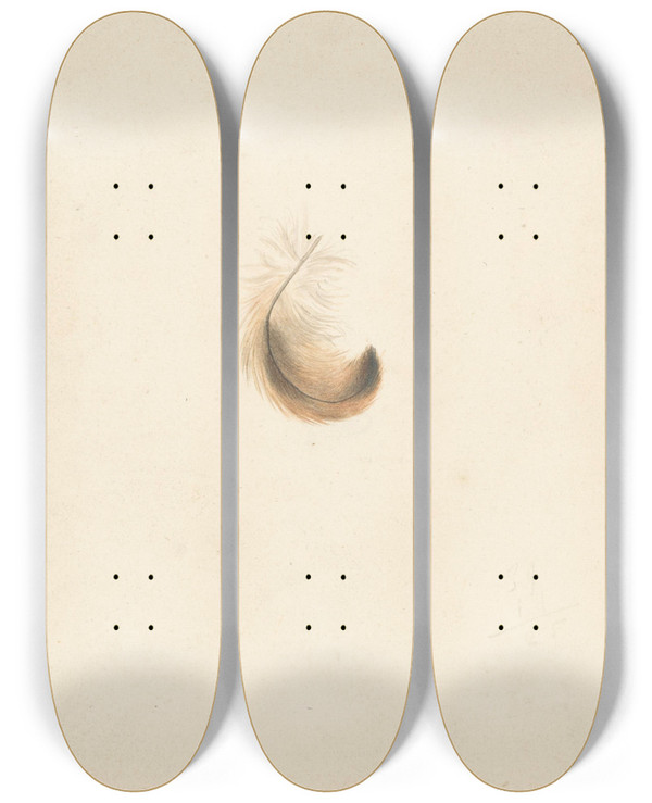 Triptych art skateboard deck of Albertus Steenbergen Studie Van Een Veertje by Albertus Steenbergen (1814-1900)