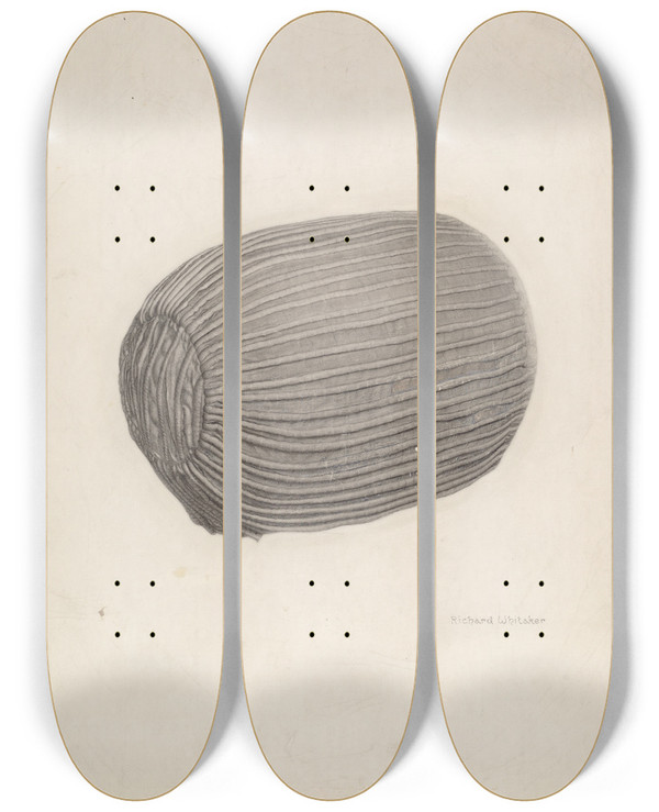 Triptych art skateboard deck of Richard Whitaker Babys Bonnet by Richard Whitaker