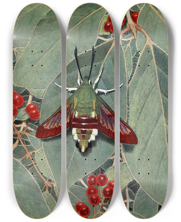 Triptych art skateboard deck of Paulandre Robert Le Sphinxgaz by Paul-Andre Robert (1901-1977)