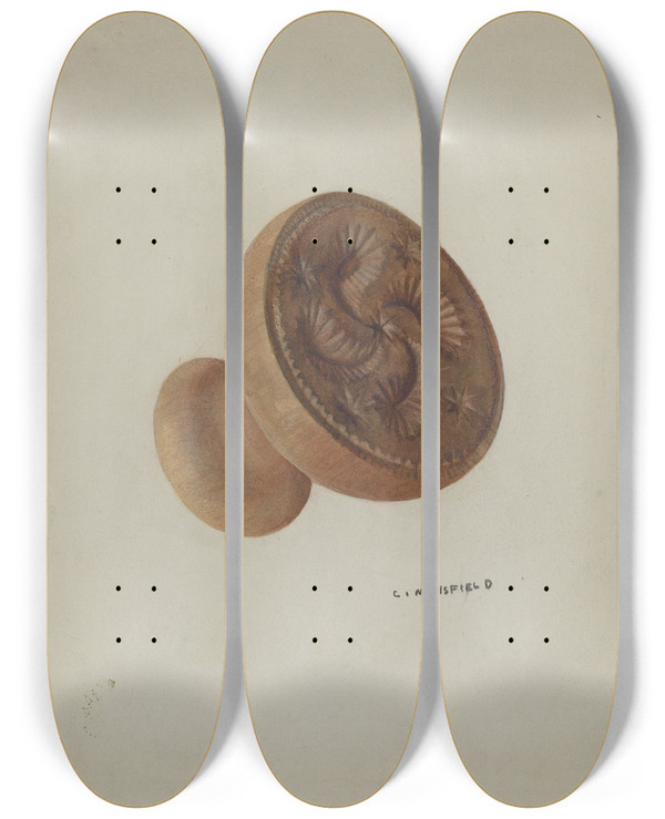 Triptych art skateboard deck of C Mansfield Pa German Butter Mold by C Mansfield