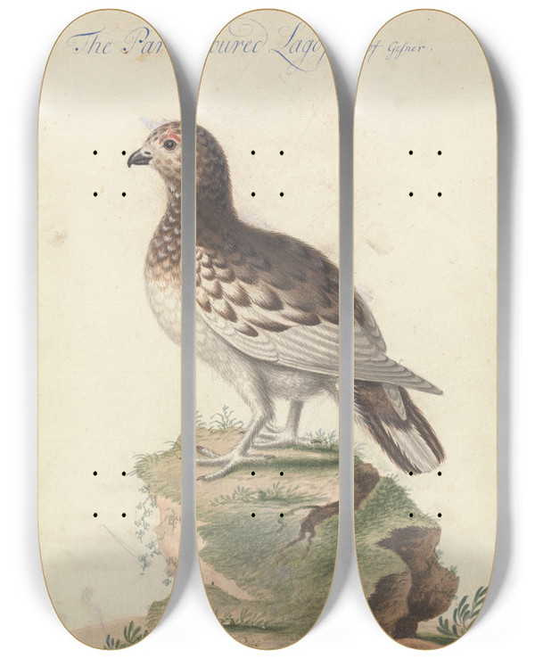 Triptych art skateboard deck of George Edwards Ptarmigan by George Edwards