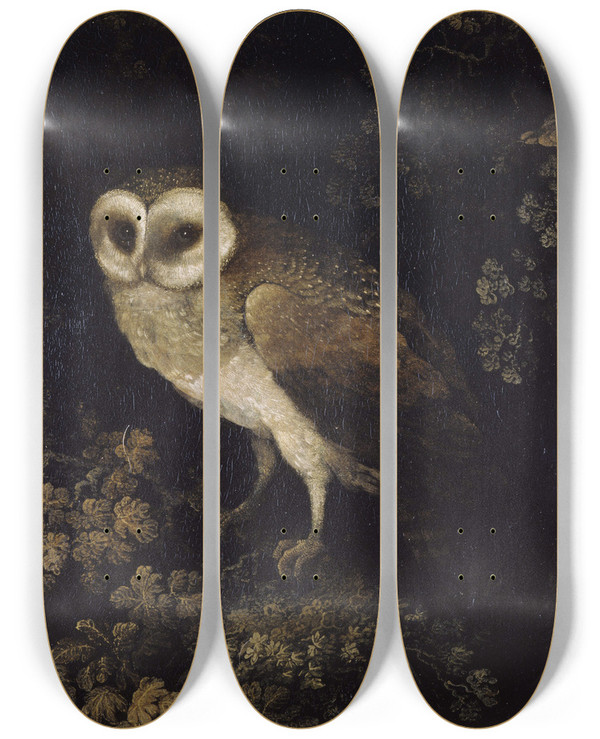 Triptych art skateboard deck of Moses Haughton An Owl by Moses Haughton (1734-1804)