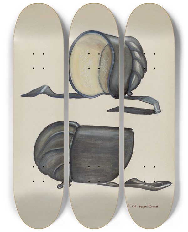 Triptych art skateboard deck of B Berndt Black Silk Bonnet by B Berndt