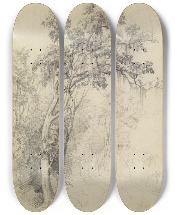 Triptych art skateboard deck of Ferdinand Keller Im Urwald Baumstudie by Ferdinand Keller (1842-1922)